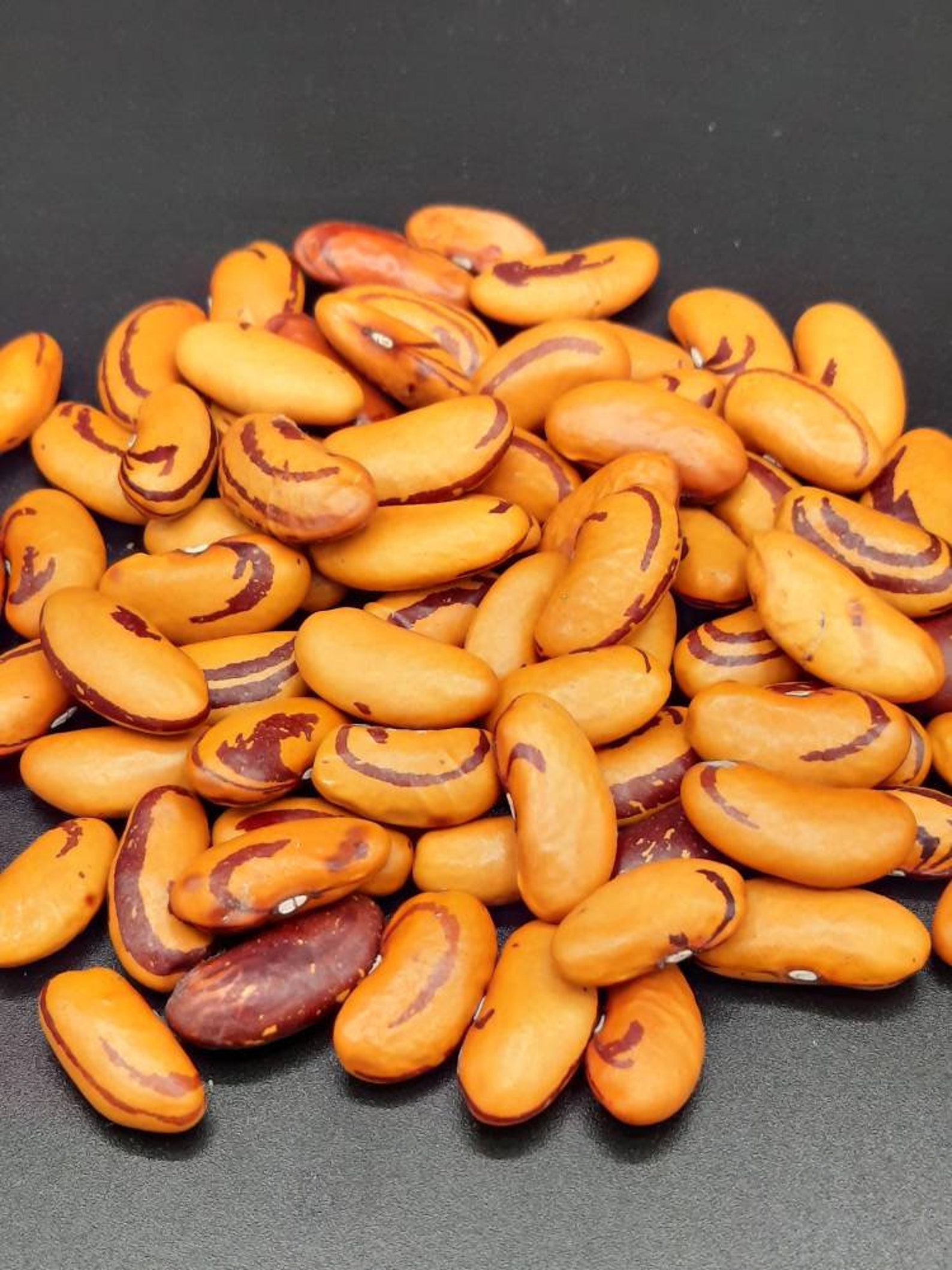 Tigers Eye Heirloom Drying Beans Etsy