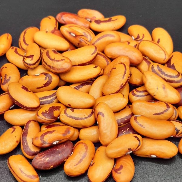 Tigers Eye Heirloom Drying Beans