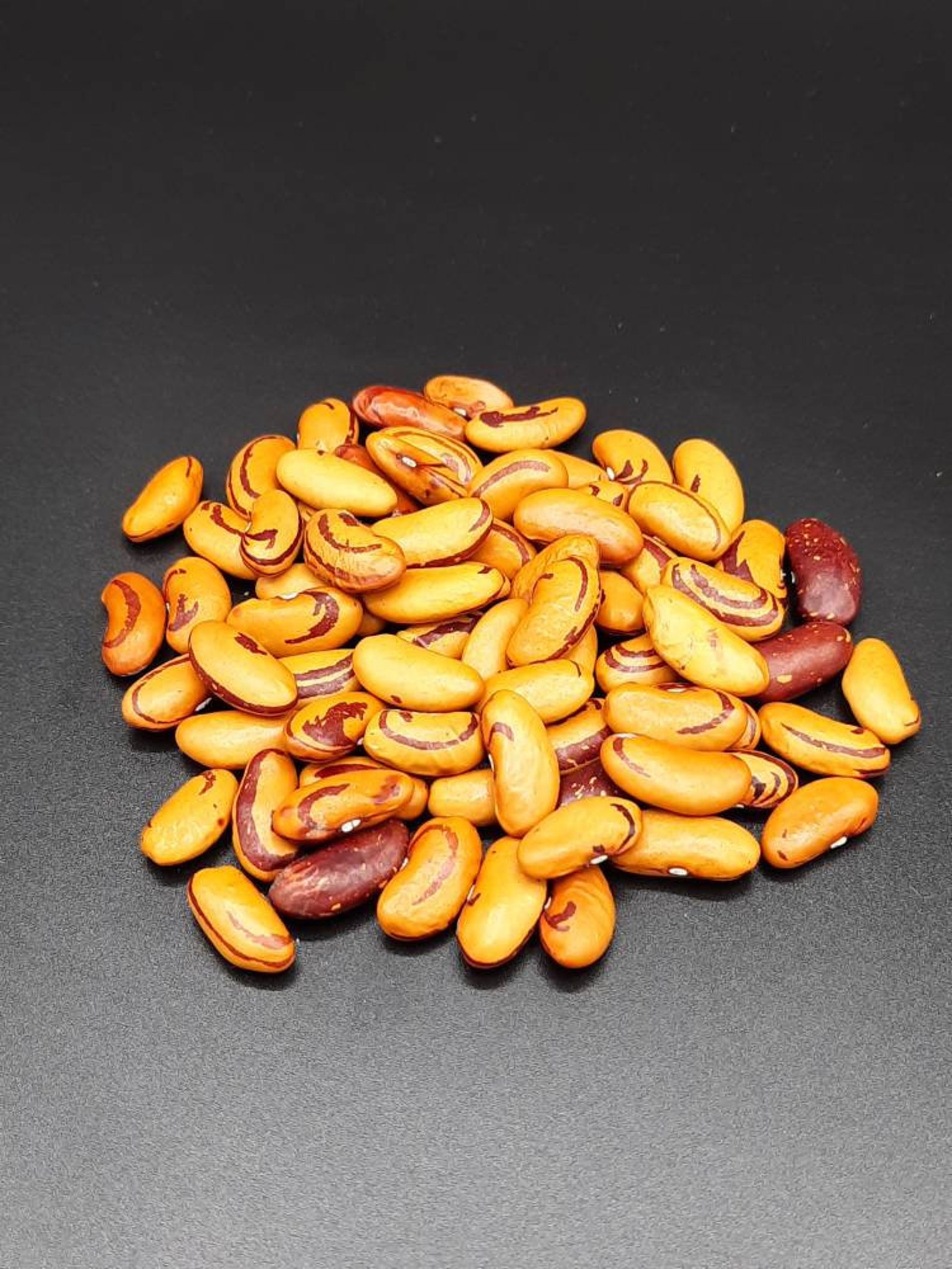 Tigers Eye Heirloom Drying Beans Etsy