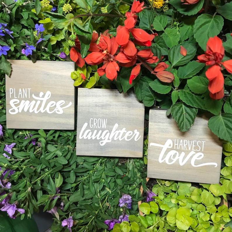 Spring Decor Shelf Sitter Wood Signs Shelf Decor Plant Smiles Grow Laughter Harvest Love Gift Idea for Her Inspirational Signs for Home
