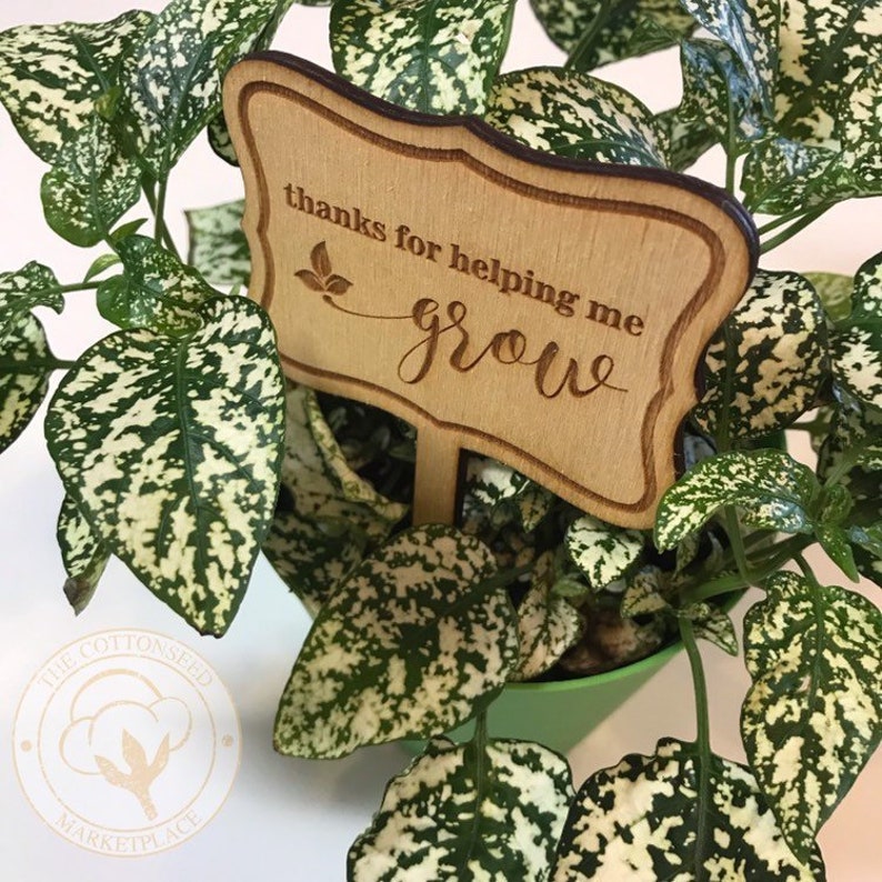 Teacher Appreciation Gift Ideas. Thanks for Helping Me Grow Plant Tag. Gift Card Planter Tag for Teacher. End of the Year Gift for Teacher. 