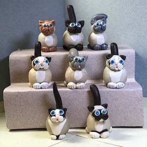 Color point cat miniatures, Exotic shorthair style.  Your choice of one.