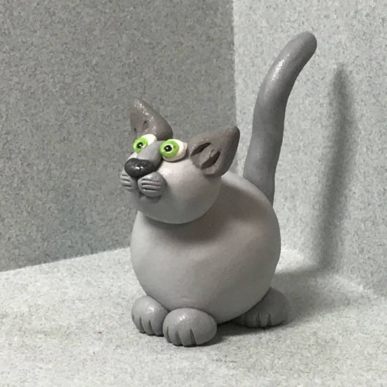 solid grey tabby cat