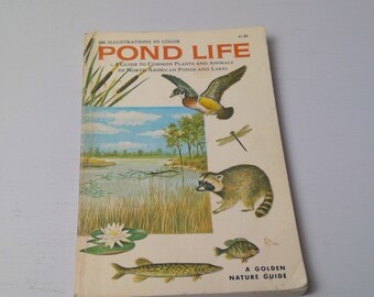 Vintage Golden Guide 1967 Pond Life Nature Guide