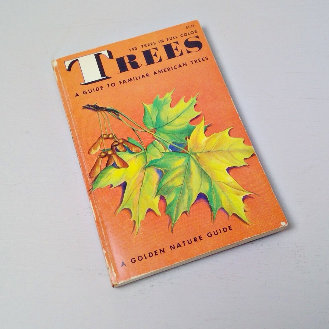 Vintage Golden Guide Trees Pocket Nature Guide Tree Guide 1956 Etsy