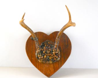 Real Deer Antlers Wood Block and Stone Mounted Antlers 4 Point Folk Art Antlers Natural Antlers