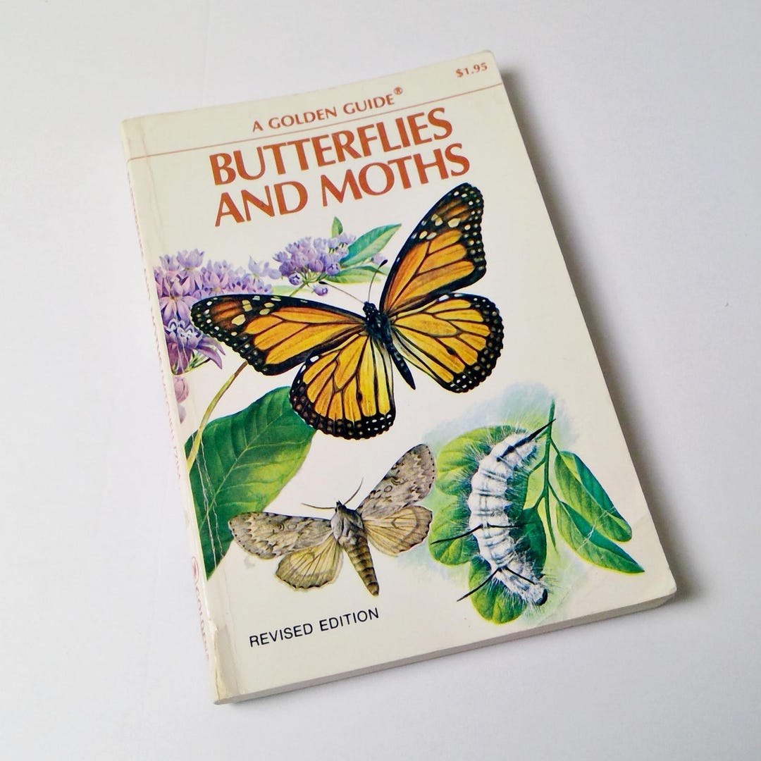 Old Nature Guide 1977 Vintage Golden Nature Guide Butterflies and Moths Identification ...