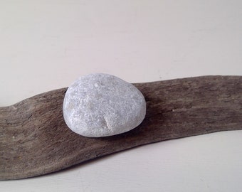 Natural Raw Fossilized Rock Petoskey Stone Unpolished Petoskey Stone Lake Michigan Fossilized Rock Coral