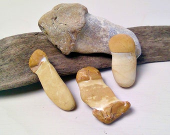 Collection of Natural Found Phallic Shaped Rock Grey Brown Stone Lake Michigan Rock