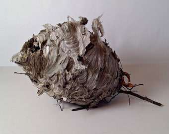 Remains of Natural Paper Wasp Nest Taxidermy Craft Supply Prop Dried Used Wasp Nest Specimen As Found