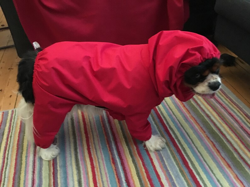 Waterproof All in One Dog Coat Etsy