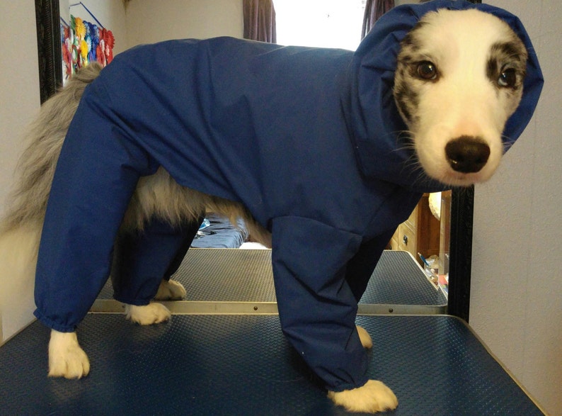 Waterproof All in One Dog Coat Etsy