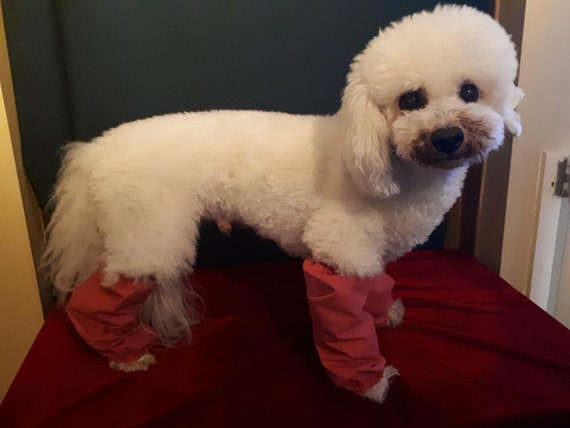 poodle leg covers