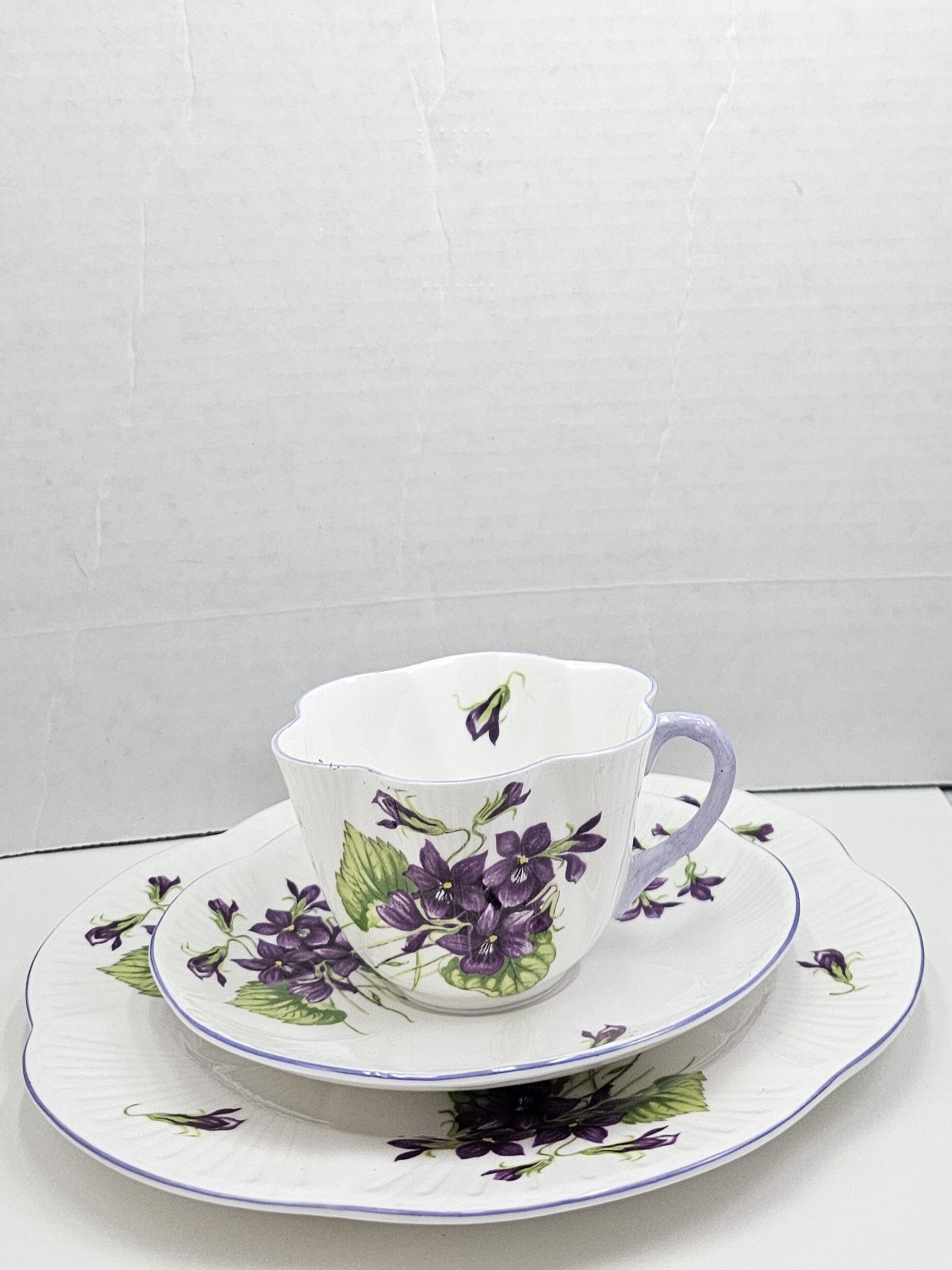 Shelley Cup and saucer (DEB) Shelley Cup and saucer (DEB)