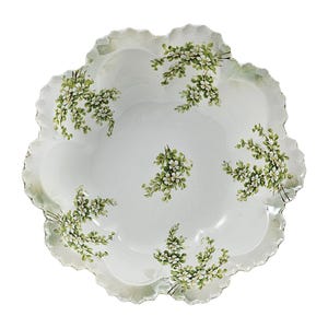RS Prussia German Porcelain Bowl Surreal Pattern Satin Finish Mold 254