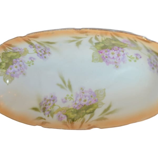 Antique German Porcelain Celery Dish Vanity Tray Peach Violet Floral Decor 11" Long