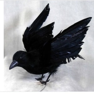 May include: A black crow with its wings spread out. The crow is made of feathers and has a realistic appearance.