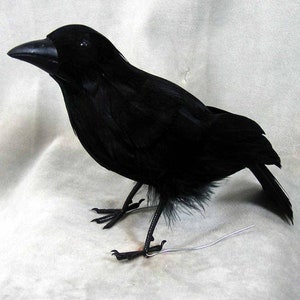 2 pc, Halloween Crows, 6", all feathered, artificial crows, fake crows, per 2 birds