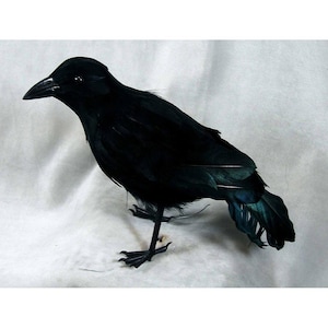 10 inch Artificial Halloween Crow Decoration, standing, feathered crow, wired feet, per each