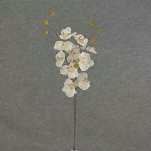 May include: A single stem of artificial white orchids with brown centers. The stem has small green buds and leaves.