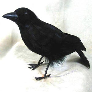 May include: A black crow figurine with realistic feathers. The crow is posed with its wings spread and its head tilted to the side. The figurine is made of plastic and has a wire tail.