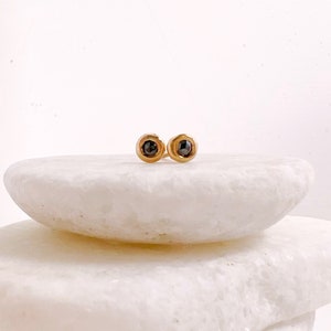 May include: A pair of gold-colored stud earrings, each featuring a dark, round gemstone. The earrings are set against a white background, highlighting their simple yet elegant design. These earrings are a classic jewelry item.