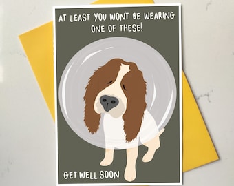 Funny Springer Spaniel Get Well Card - Cone of Shame
