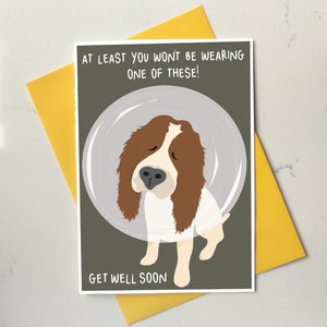Gute Besserung Karte - Lustiger Springer Spaniel - Karte mit Kegel der Schande - Umweltfreundlich - Denken an Sie