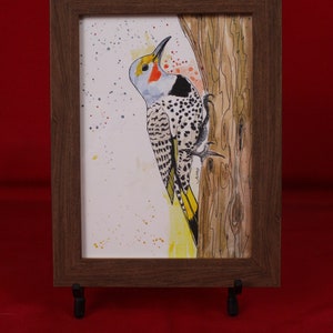 Northern Flicker Pen & Ink Watercolor Giclée Print, Custom Wood frame, Gift for bird lovers, Stocking stuffer art, Bird, Children&#39;s wall art