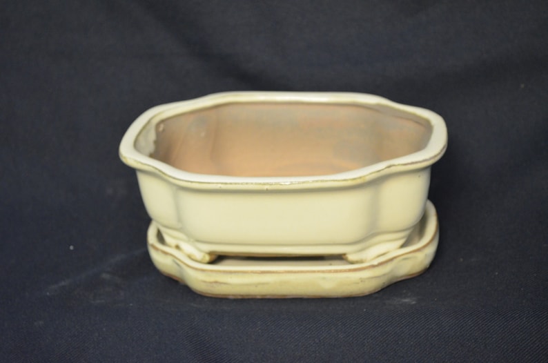 7 size beige,hexagon hard to find! Bonsai pot with matching tray