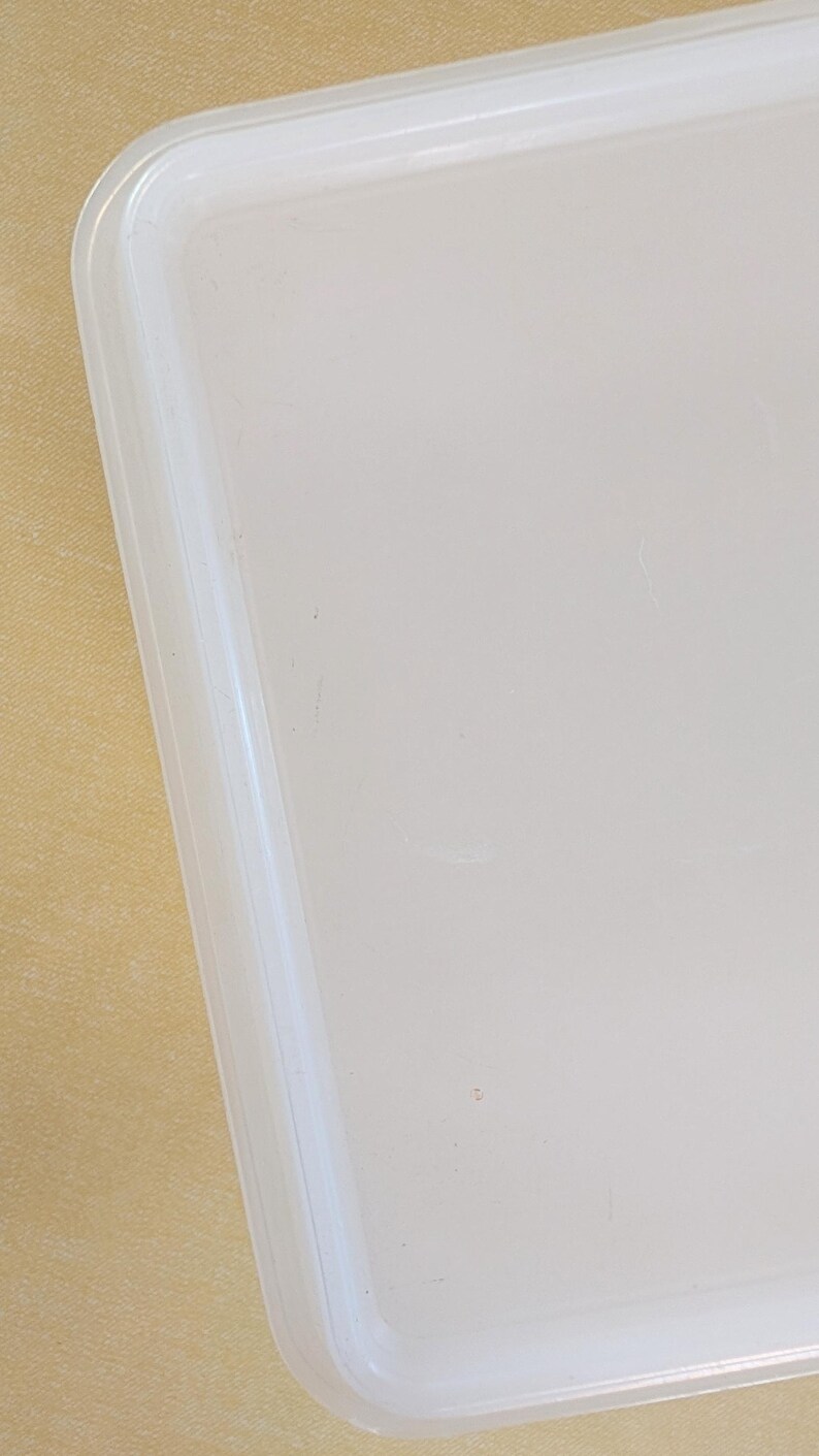 Large Rectangular Tupperware Storage Container image 15