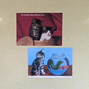 Vintage Kitten Postcards