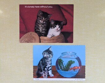 Pode incluir: Dois gatinhos, um tigrado e outro branco com marcas pretas, estão sentados em uma cesta de vime. A legenda no cartão postal diz "Estou sozinho aqui sem você."