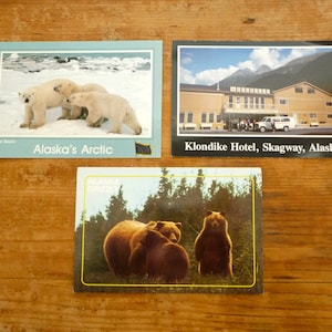 Cartes postales illustrées de la faune de l'Alaska