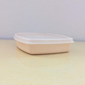 Divided Tupperware Container