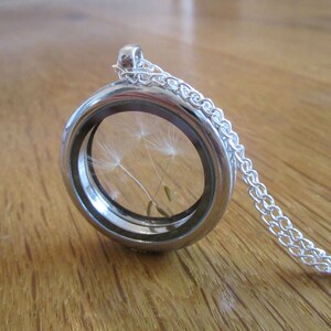 Kette Medaillon Pusteblume silber Geschenk Bild 2