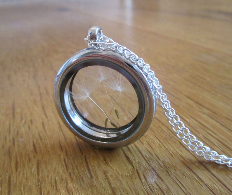 Kette Medaillon Pusteblume silber Geschenk Bild 2