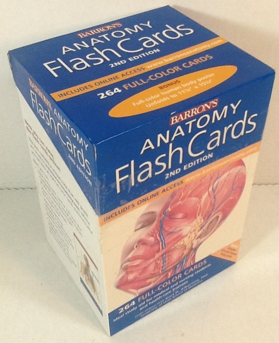 Of The Best Anatomy And Physiology Flashcards For College, 58 OFF