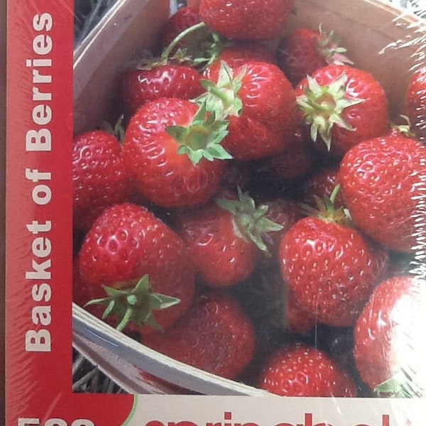 FACTORY SEALED Basket Of Berries Melissa Hardtke 500 pc Jigsaw Puzzle 18" X 23.5" Springbok #33-01511