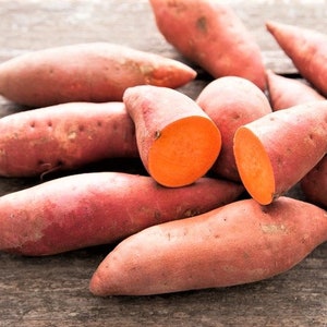 5 Sweet potato slips 5 organic garnet orange sweet potatoes