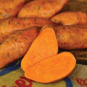 May include: A group of sweet potatoes, some whole and some sliced open, revealing their bright orange flesh. The potatoes are arranged on a burlap sack.