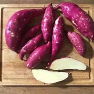 6 Murasaki Sweet potato Slips organic white to yellow on the inside and reddish purple on the outside