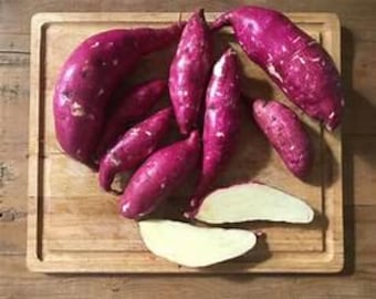 5 Murasaki Sweet Potato Slips - Organic Edible Leaves