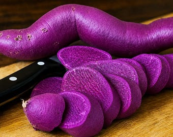 7 sweet potato slips schedule now organic Purple inside and out short season