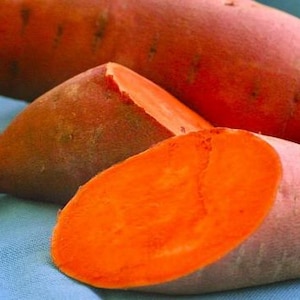 May include: Three sweet potatoes, one whole and two cut open, revealing a bright orange flesh. The sweet potatoes are on a blue surface.