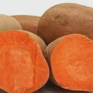 May include: A group of sweet potatoes with light brown, textured skin. Two of the sweet potatoes are sliced in half, revealing a vibrant, solid orange interior flesh. The vegetables are arranged in a cluster, showing both whole and cut surfaces.