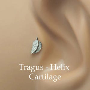 Blatt Helix Bolzen - Helix Bolzen 16 Gauge - Helix Ohrring - 16g Tragus Bolzen - Knorpel Blatt Bolzen - Knorpel Ohrring - Gold Helix Piercing