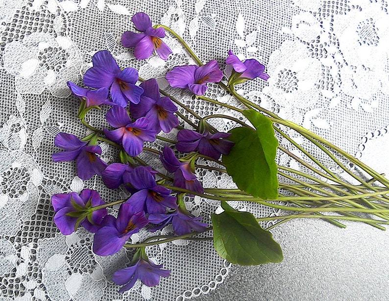 Wild violets Clay flowers Bouquet of violets Floral Etsy