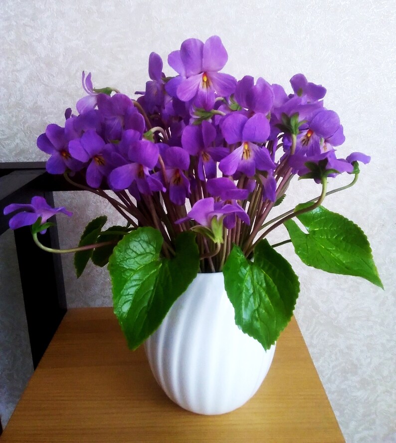 Wild violets Clay flowers Bouquet of violets Floral Etsy