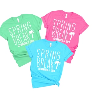 May include: Three t-shirts in different colors, green, pink, and blue, with the text "SPRING BREAK" and a palm tree graphic. The text "CLEARWATER, FL 2024" is printed below the graphic.